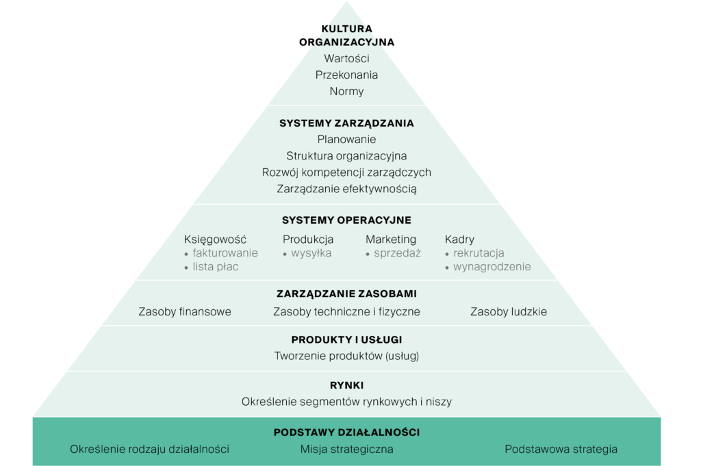 Piramida Rozwoju Organizacji