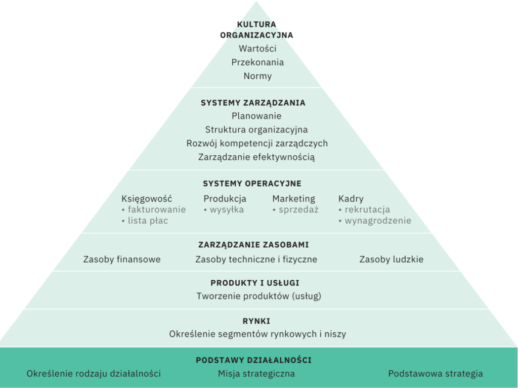 Piramidy Rozwoju Organizacyjnego®
